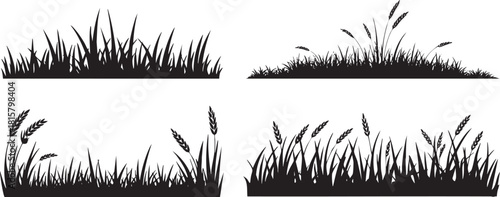 Grass and Wheat Silhouettes Collection for Design Elements Vector Graphics