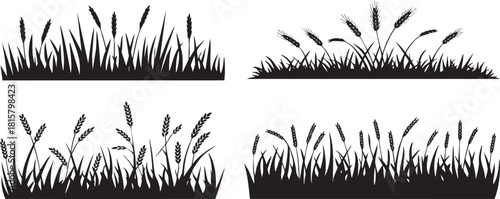 Elegant Wheat and Grass Silhouettes for Natural and Organic Designs