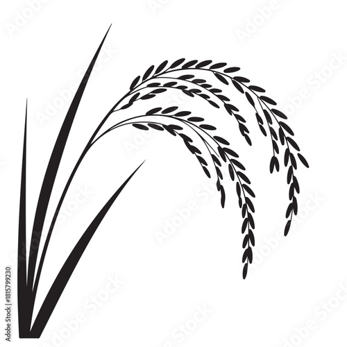 A black and white vector illustration of a rice plant isolated on white background, showcasing its elegant and simple design