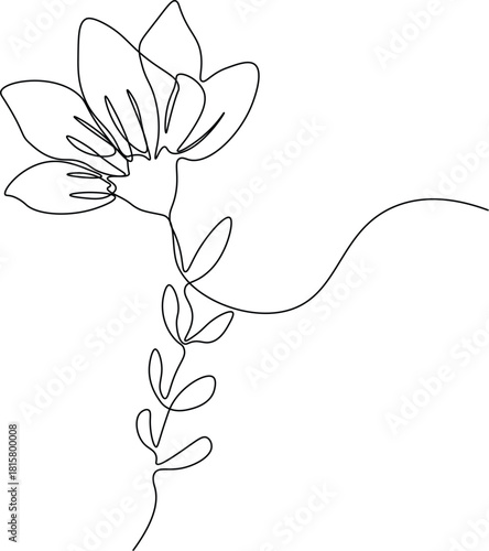 Continous one line blooming water lily flower. Lily flower  drawing minimalist one line simple art concept.