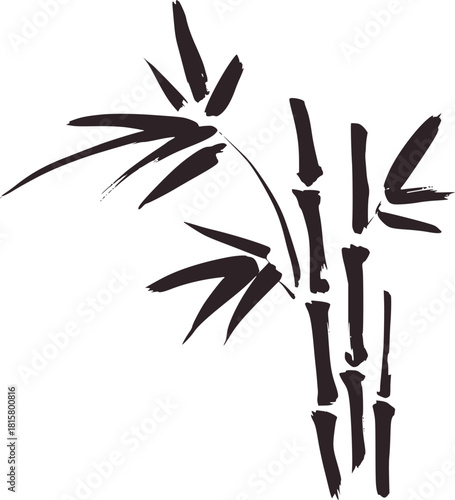 Minimalist black ink bamboo branches and leaves plant