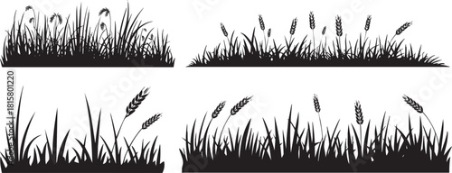 Silhouette vector of grass and wheat plants for landscape elements