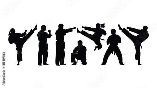 Dynamic martial arts silhouettes isolated on white background, Vector