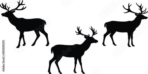Solid black silhouette of animals