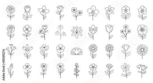 Collection of flower icons, line art illustration floral design elements, botanical vector outline set