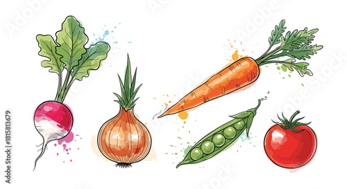 Artistic watercolor illustration of fresh vegetables including a radish onion carrot peas and tomato with colorful paint splatters for a vibrant look.