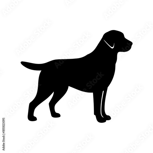 Black labrador retriever silhouette profile icon vector