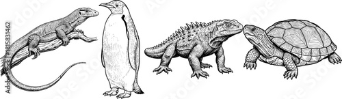 Diverse Reptiles and Bird Illustration Vintage Style