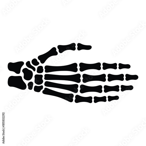 A skeletal hand vector illustration isolated on, showcasing the bone structure and anatomy, ideal for medical, halloween, or gothic themes
