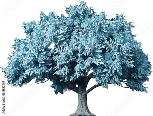 A solitary deciduous tree with a full canopy of light blue leaves.
