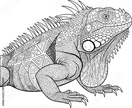 Intricate Line Art Lizard Design for Coloring Pages