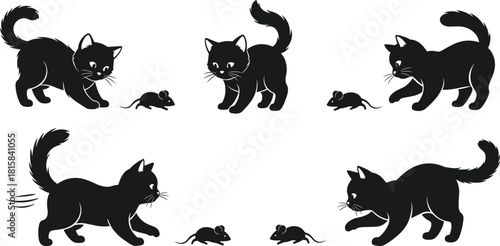 Black cat stalking and hunting mouse vector silhouette collection, watchful feline pet animal ready to pounce, adorable chase icon set.