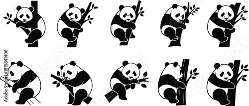 Cute black and white panda bear climbing and sitting on tree branches vector cartoon silhouette icons, endangered animal logo set in simple flat style.