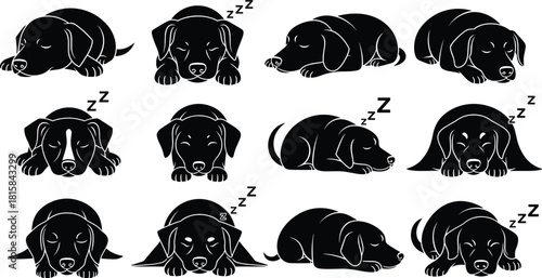 Cute puppy dog sleeping vector silhouette icon collection, adorable pet animal in various resting poses, black and white Zzz cartoon set.