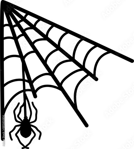 Spider web with hanging spider