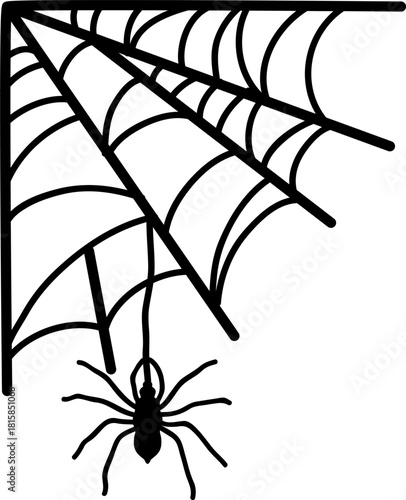 Spider web with hanging spider