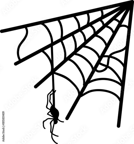 Spider web with hanging spider