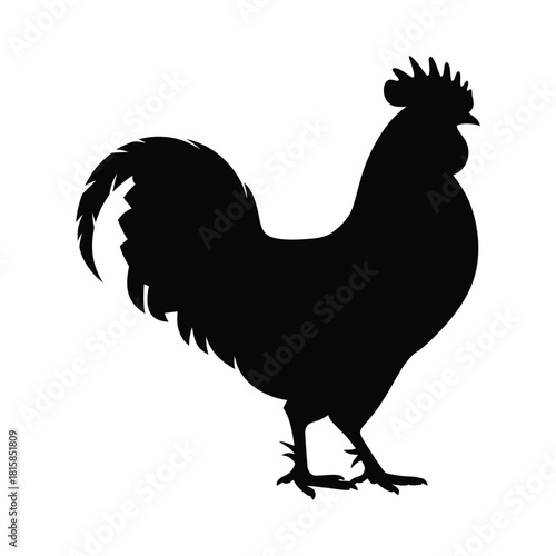 Silhouette of a rooster isolated on, showcasing its distinctive comb, wattle, and tail feathers, capturing the essence of farm life and rural charm