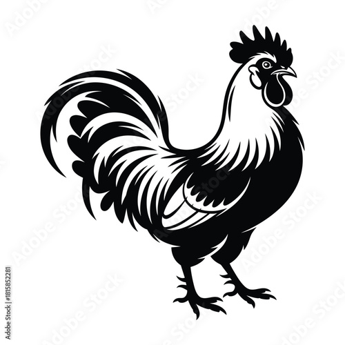Majestic rooster isolated on, showcasing its proud stance and intricate feather details, a symbol of rural charm and farmyard life, perfect for various design projects