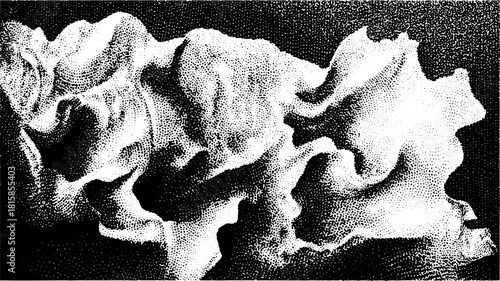 Engraving print featuring an antique motif. A hand-drawn illustration with stipple textures creates a vintage silhouette vector set.