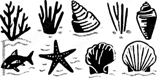 Corals and seashells in outline style. Black line drawing of underwater elements as a vector illustration set.