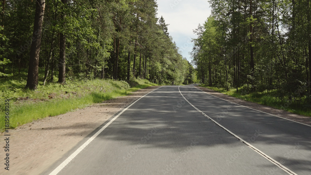 Obraz premium driving plate through forest in sunny summer day