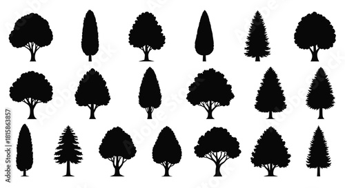 Set of black tree silhouettes, collection of various deciduous and coniferous trees, different shapes for forest landscape design and architectural plans, isolated on white background