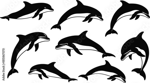 Black dolphin silhouettes collection, jumping dolphin vector illustration, marine animal artwork, ocean wildlife outline design, aquatic sea mammal drawing set