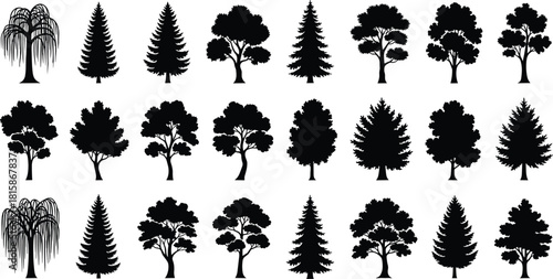 Black silhouette tree collection, nature illustration of various tree shapes, forest icons, woodland elements, eco design, vector isolated on white background