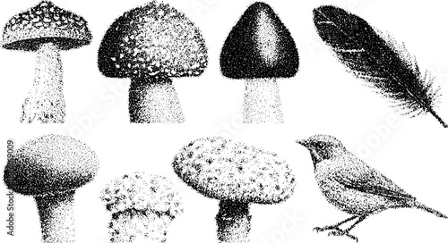 Engraving illustration featuring a set of mushrooms, a feather, and a bird. This detailed black line art vector representation showcases classic and antique styles.