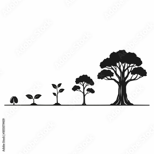 Illustration depicting the life cycle of a tree, showing growth from seed to mature tree in stages.