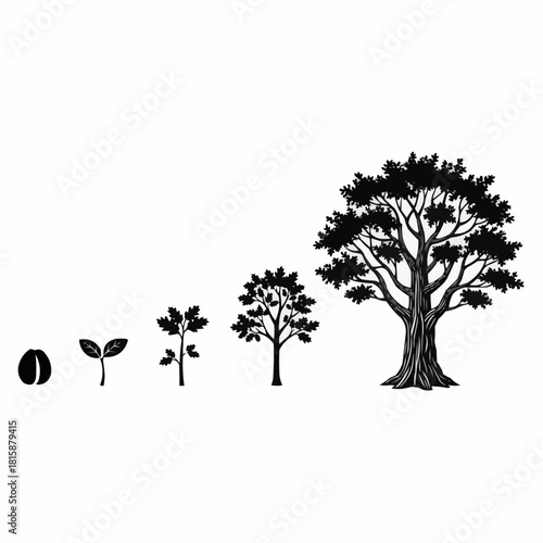 Illustration showing a tree's life cycle, from seed to sapling to mature tree, in a sequential progression.