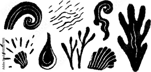 Sea shell and coral designs in black. Simple vector illustration featuring aquatic elements in a decorative set.