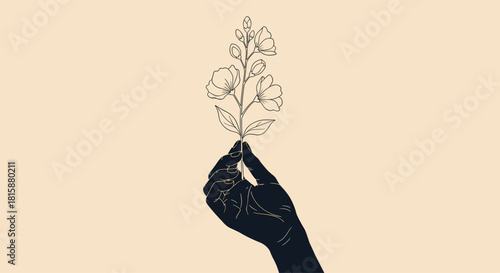 An elegant and minimalist illustration of a dark silhouette of a hand gently holding a delicate flower drawn in line art.