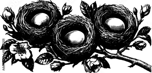 Detailed illustration of a set of nests with eggs and flowers on a branch. Vintage black silhouette vector illustration depicting nature.