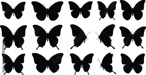 Butterfly silhouettes, insect vector icons, black flying moths, decorative wing shapes, nature insect design, isolated butterflies, bug illustration, wildlife graphic set