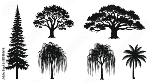 Collection of diverse tree silhouettes including pine willow oak and palm silhouette