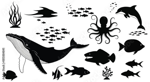 Collection of marine life silhouettes including whale dolphin octopus and fish