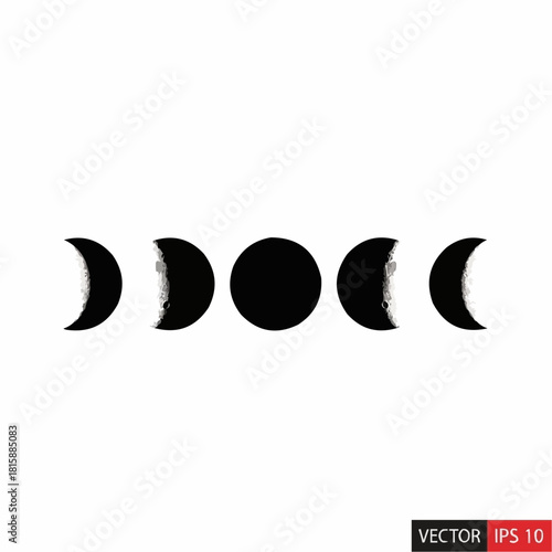 Illustration depicting the phases of the moon, arranged horizontally against a white background.