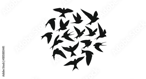 A flock of birds in flight silhouette