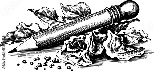 Pencil illustration featuring a leaf and detailed engraving texture. This vintage black and white design highlights natural elements in a vector art set.