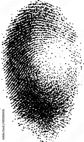 Fingerprint pattern in black and white. Detailed vector illustration showcasing texture and design in a simple, artistic style.