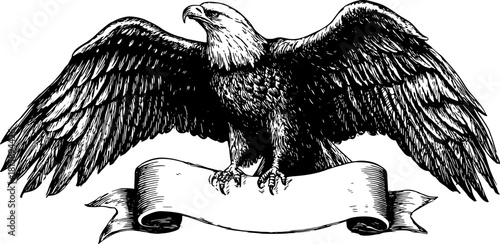 Eagle outline in black and white, vintage drawing style. This detailed vector illustration features a majestic bird with wings spread, ideal for art sets.