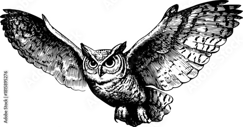 Owl with wings spread in detailed ink style. Black and white wildlife vector illustration.