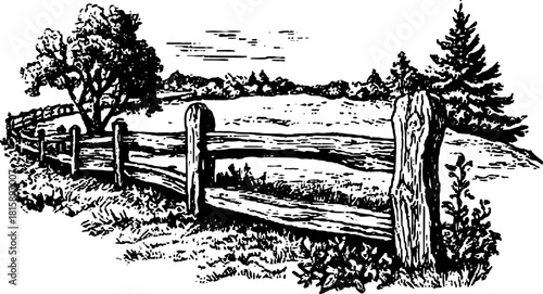 Vintage engraving of a fence and tree in a rural landscape. Detailed line drawing vector illustration depicting nature in a simple set.