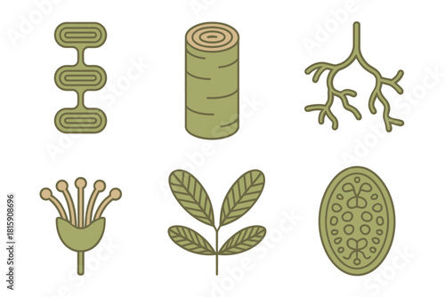 Botany forestry icons, detailed wood log, root system, plant leaves, flower shapes, natural habitat flat vector.