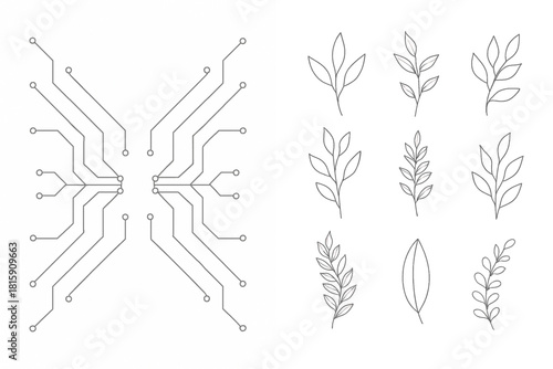 Tech & Nature: Circuit Meets Leaf
