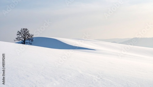 Wallpaper Mural Snowy landscape features a lone tree on a gentle hill under soft light during winter morning Torontodigital.ca