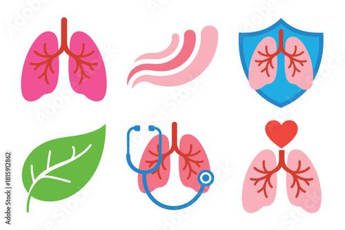 Breathing health illustration pack, lung anatomy, airway and lungs, protective shield, healing leaf, stethoscope heart, hospital vector