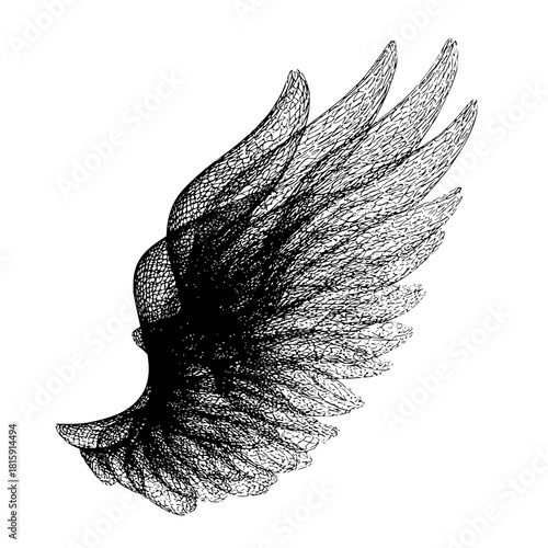 Detailed vector illustration of angel wings drawing with intricate feather pattern design